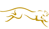 lows logo